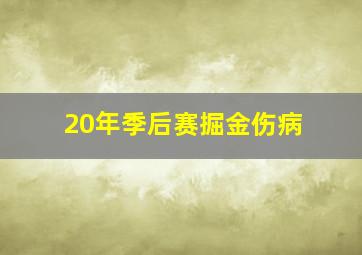 20年季后赛掘金伤病