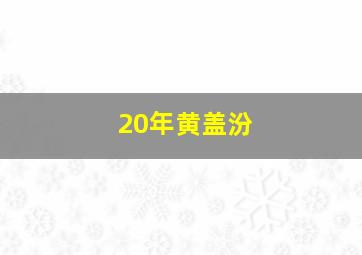 20年黄盖汾