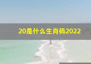 20是什么生肖码2022