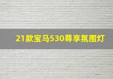 21款宝马530尊享氛围灯