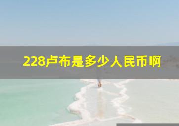 228卢布是多少人民币啊