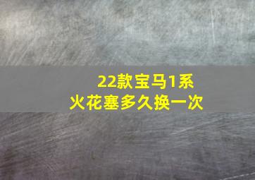 22款宝马1系火花塞多久换一次