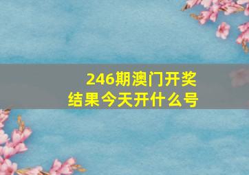 246期澳门开奖结果今天开什么号