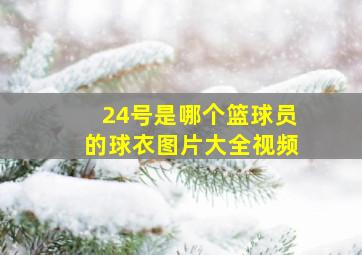 24号是哪个篮球员的球衣图片大全视频