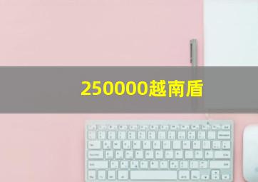 250000越南盾