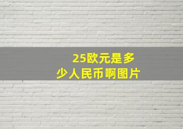 25欧元是多少人民币啊图片