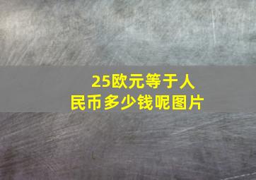 25欧元等于人民币多少钱呢图片