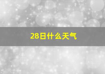 28日什么天气