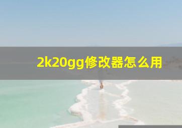 2k20gg修改器怎么用