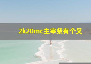 2k20mc主宰条有个叉