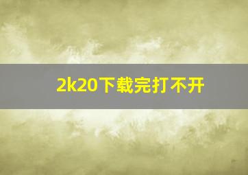 2k20下载完打不开