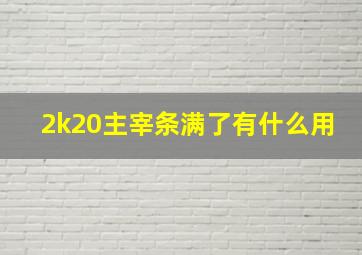 2k20主宰条满了有什么用