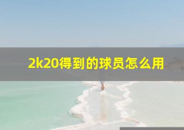 2k20得到的球员怎么用