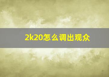 2k20怎么调出观众