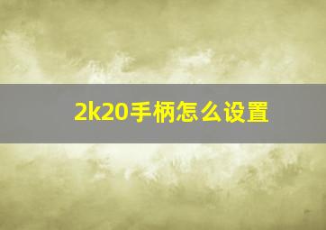 2k20手柄怎么设置