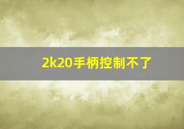 2k20手柄控制不了