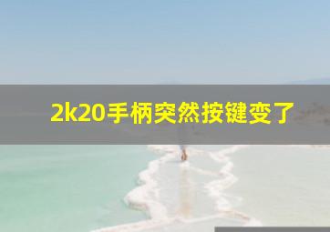 2k20手柄突然按键变了