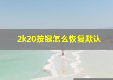 2k20按键怎么恢复默认