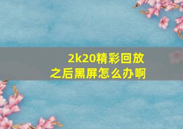 2k20精彩回放之后黑屏怎么办啊