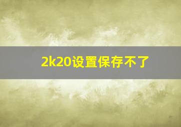 2k20设置保存不了