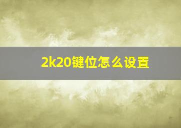 2k20键位怎么设置