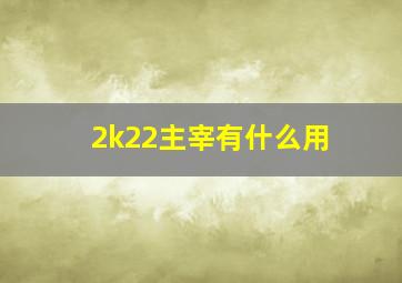 2k22主宰有什么用