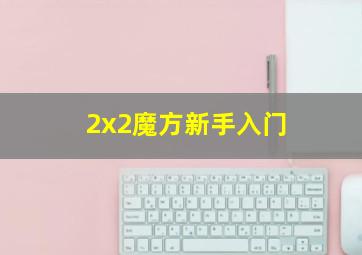 2x2魔方新手入门