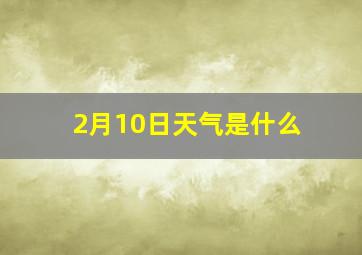 2月10日天气是什么