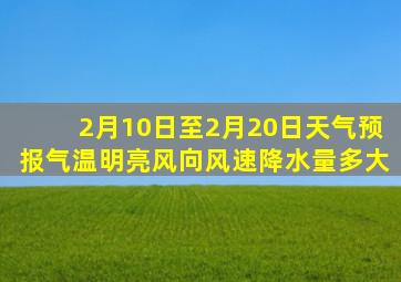 2月10日至2月20日天气预报气温明亮风向风速降水量多大