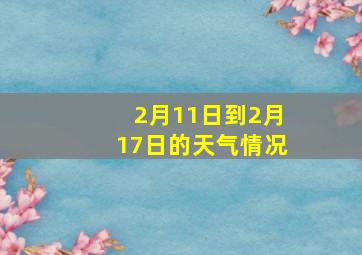 2月11日到2月17日的天气情况