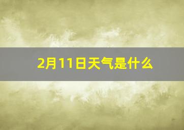 2月11日天气是什么