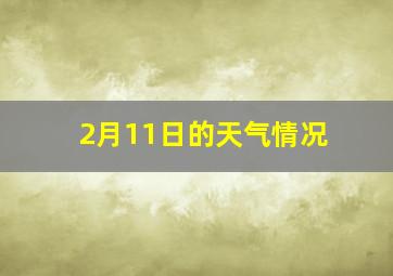 2月11日的天气情况