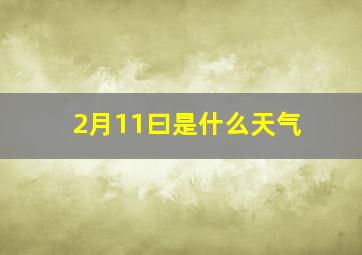 2月11曰是什么天气