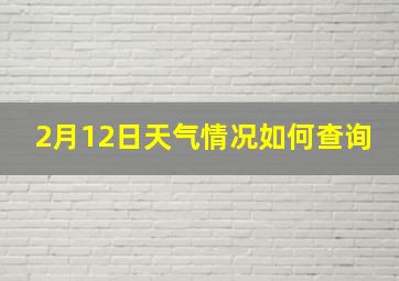 2月12日天气情况如何查询