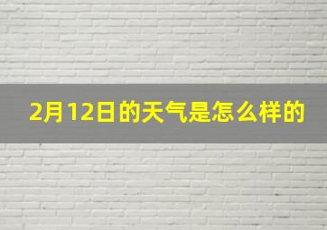 2月12日的天气是怎么样的