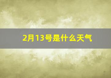 2月13号是什么天气