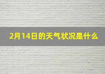 2月14日的天气状况是什么