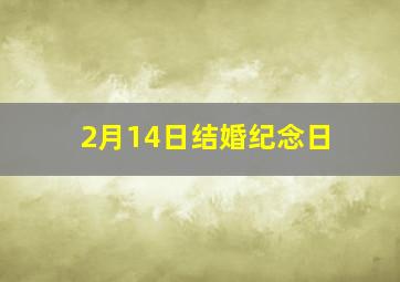 2月14日结婚纪念日