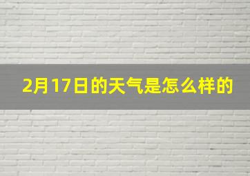 2月17日的天气是怎么样的