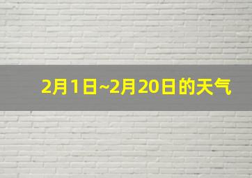 2月1日~2月20日的天气