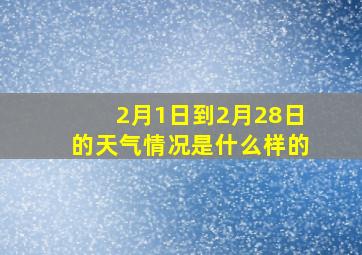 2月1日到2月28日的天气情况是什么样的