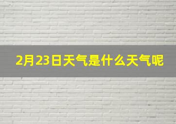 2月23日天气是什么天气呢