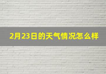 2月23日的天气情况怎么样