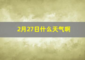 2月27日什么天气啊