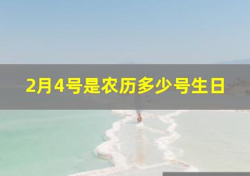 2月4号是农历多少号生日