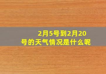 2月5号到2月20号的天气情况是什么呢