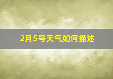 2月5号天气如何描述