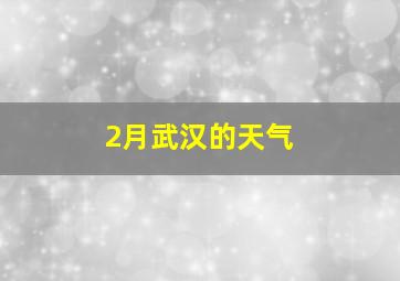 2月武汉的天气