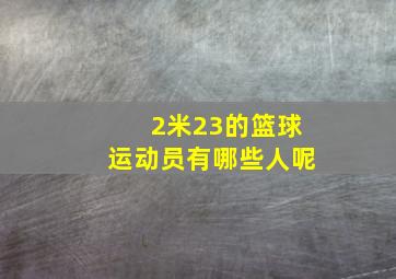 2米23的篮球运动员有哪些人呢