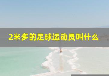 2米多的足球运动员叫什么